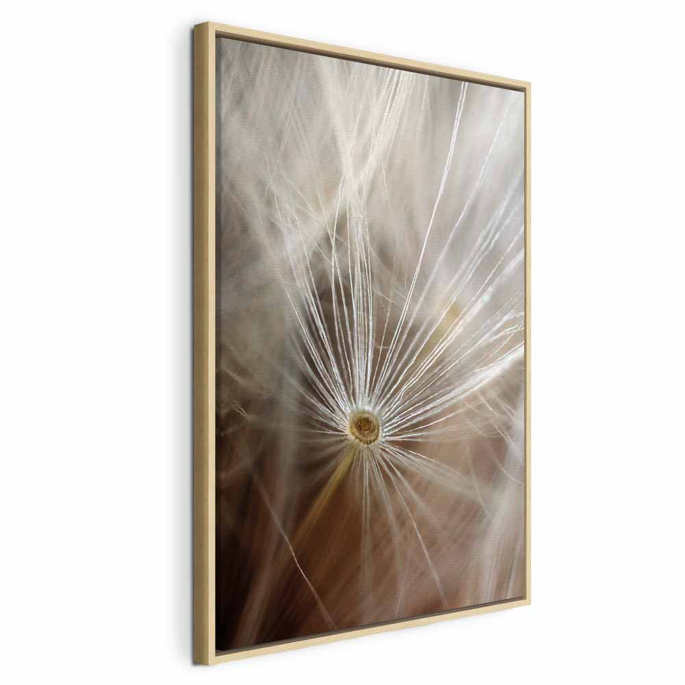 Dandelion Flower Nature Canvas Print