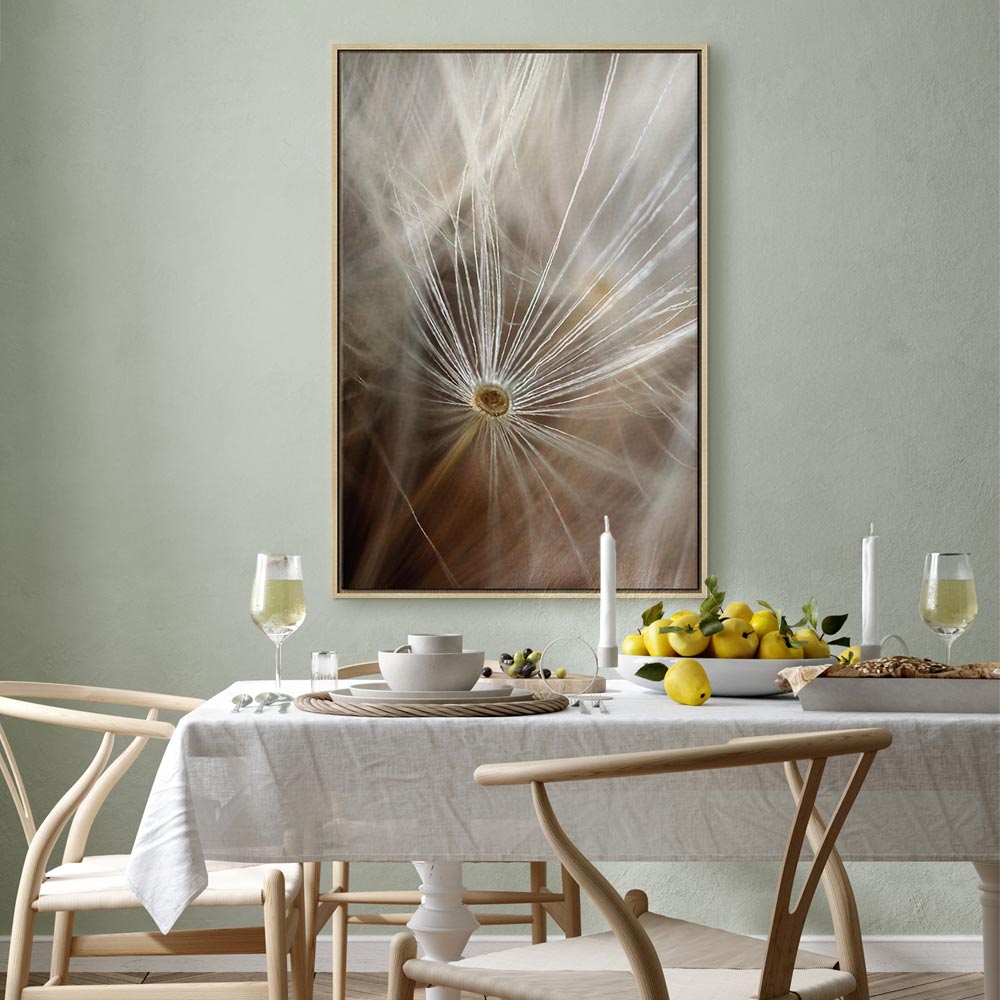 Dandelion Flower Nature Canvas Print
