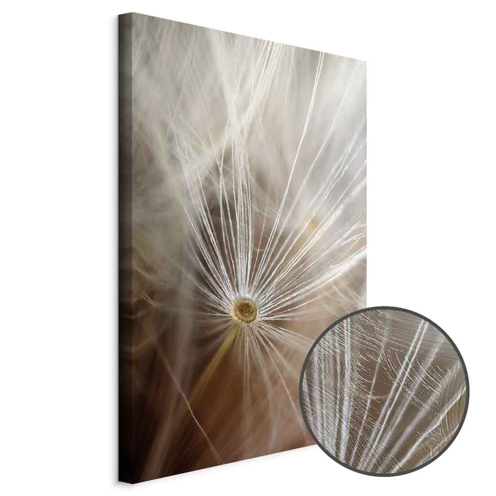 Dandelion Flower Nature Canvas Print