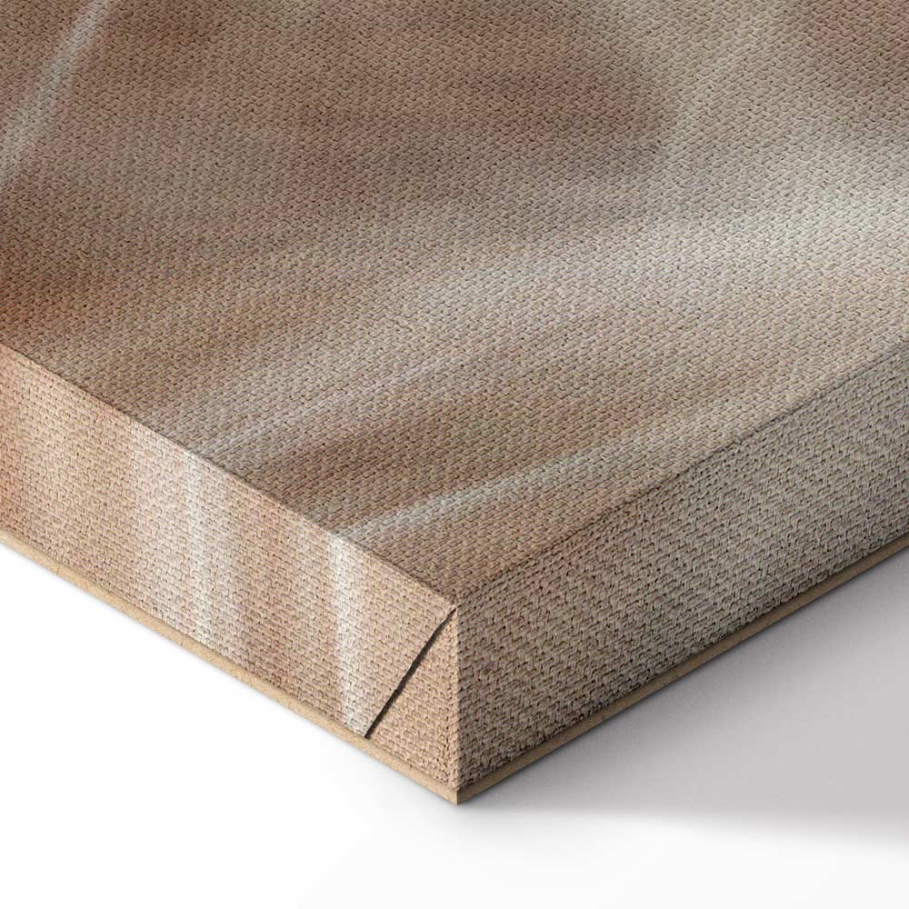 Dandelion Flower Nature Canvas Print