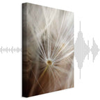 Dandelion Flower Nature Canvas Print