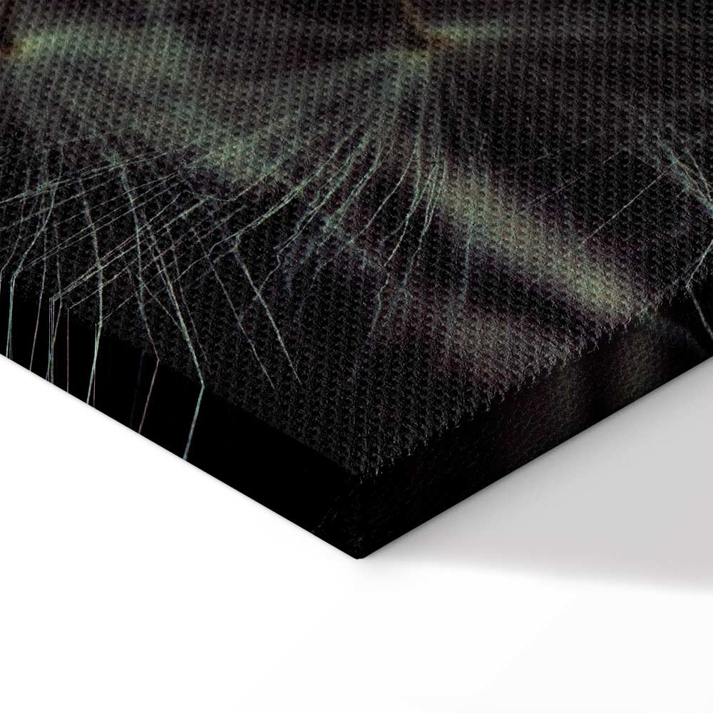 Dandelion Flowers Nature Canvas Print