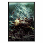 Dandelion Flowers Nature Canvas Print