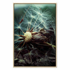 Dandelion Flowers Nature Canvas Print