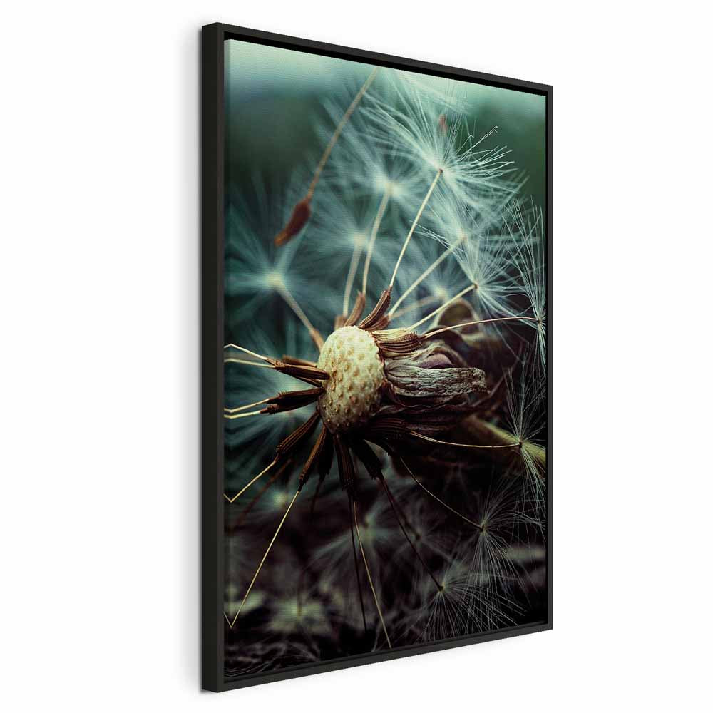 Dandelion Flowers Nature Canvas Print