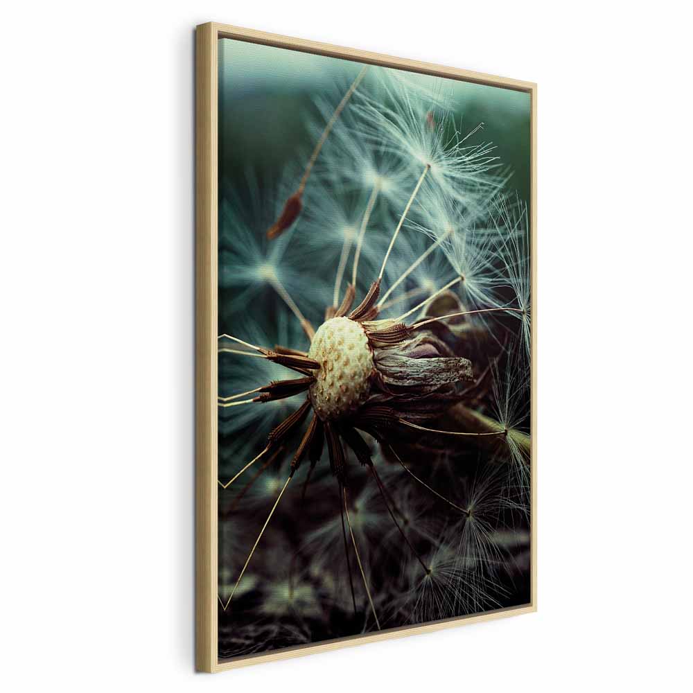 Dandelion Flowers Nature Canvas Print