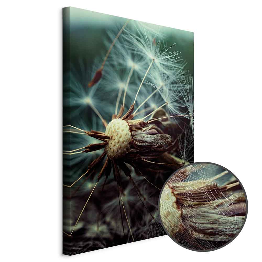 Dandelion Flowers Nature Canvas Print