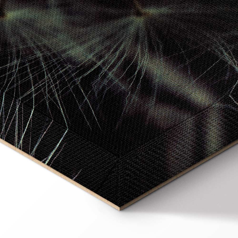 Dandelion Flowers Nature Canvas Print