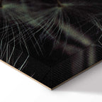 Dandelion Flowers Nature Canvas Print