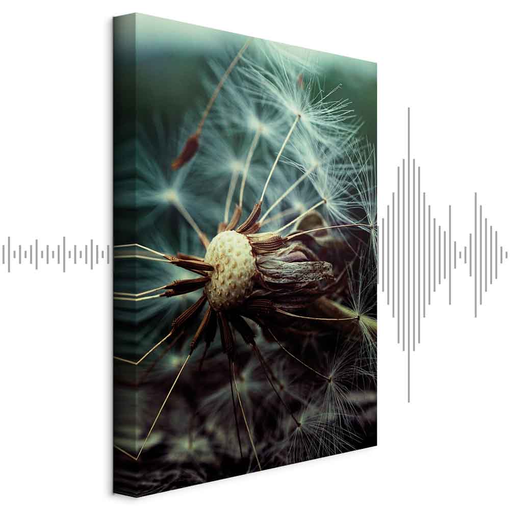 Dandelion Flowers Nature Canvas Print