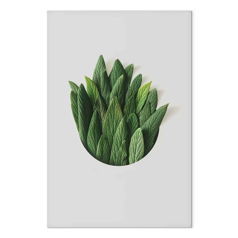 Scent Circle Leaf Botanical Canvas Print