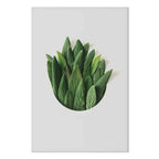 Scent Circle Leaf Botanical Canvas Print