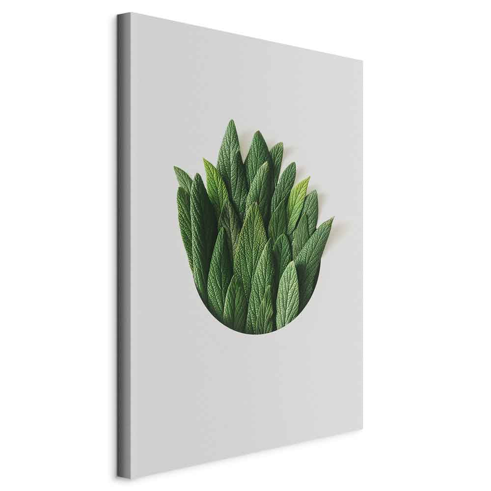Scent Circle Leaf Botanical Canvas Print