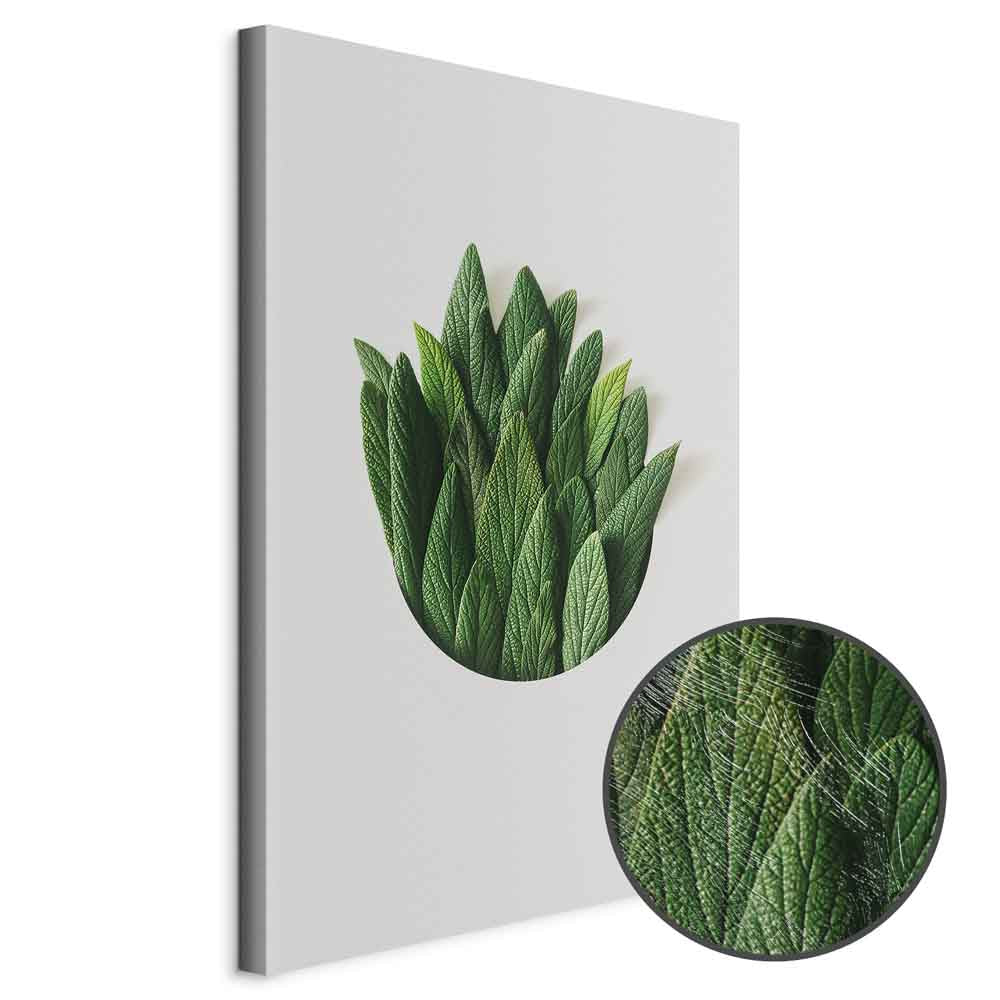Scent Circle Leaf Botanical Canvas Print