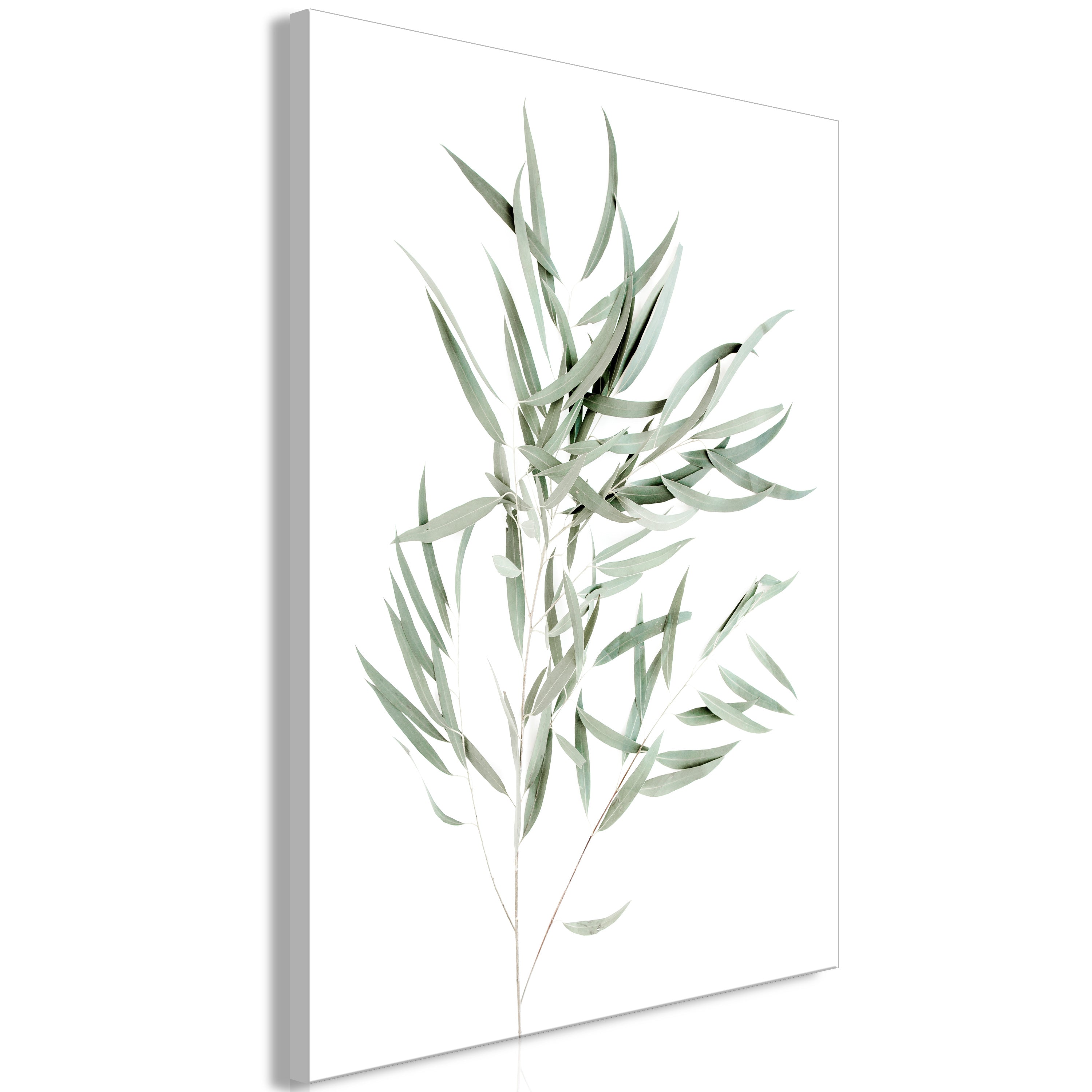 Leinwanddruck „Nicholia Eucalyptus“ – 1-teilig, vertikal