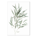 Nicholia Eucalyptus Leaves Canvas Print