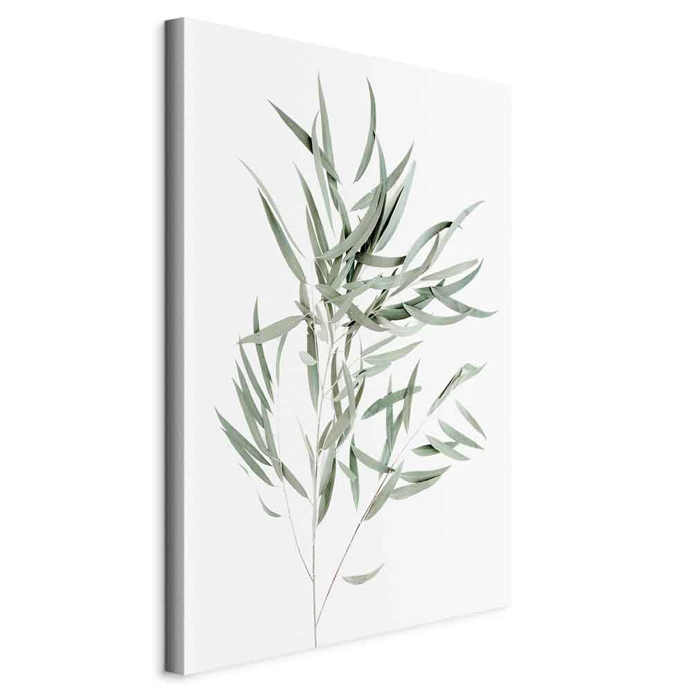 Nicholia Eucalyptus Leaves Canvas Print