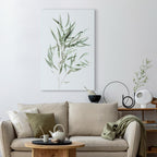 Nicholia Eucalyptus Leaves Canvas Print