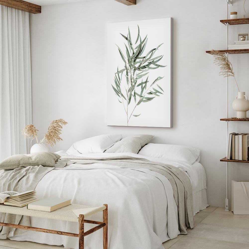 Nicholia Eucalyptus Leaves Canvas Print