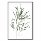 Nicholia Eucalyptus Leaves Canvas Print