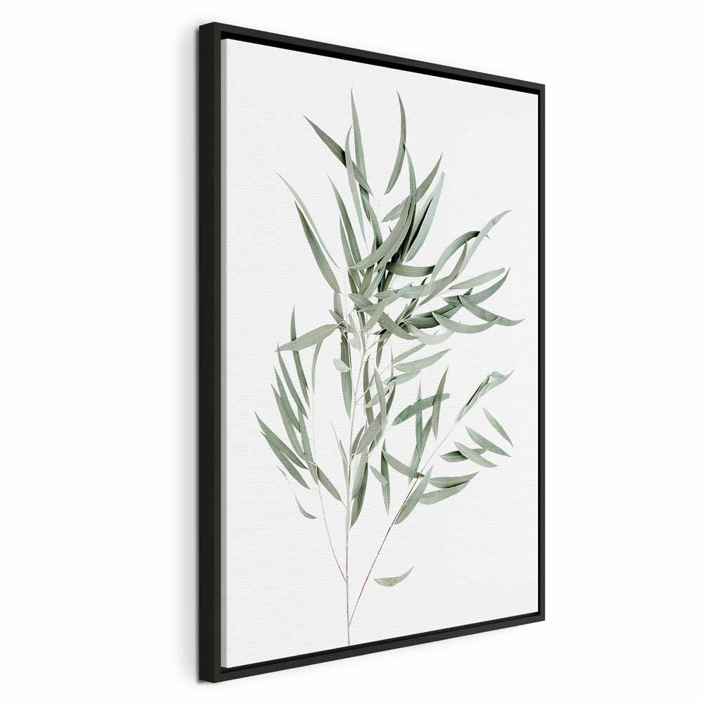 Nicholia Eucalyptus Leaves Canvas Print