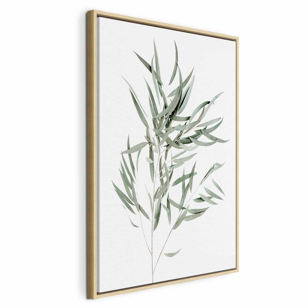 Nicholia Eucalyptus Leaves Canvas Print