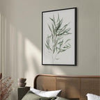 Nicholia Eucalyptus Leaves Canvas Print