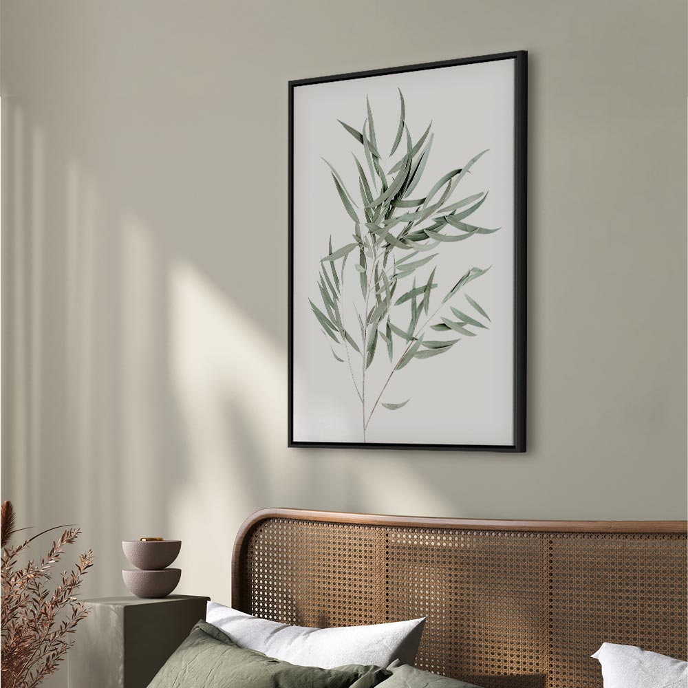 Nicholia Eucalyptus Leaves Canvas Print