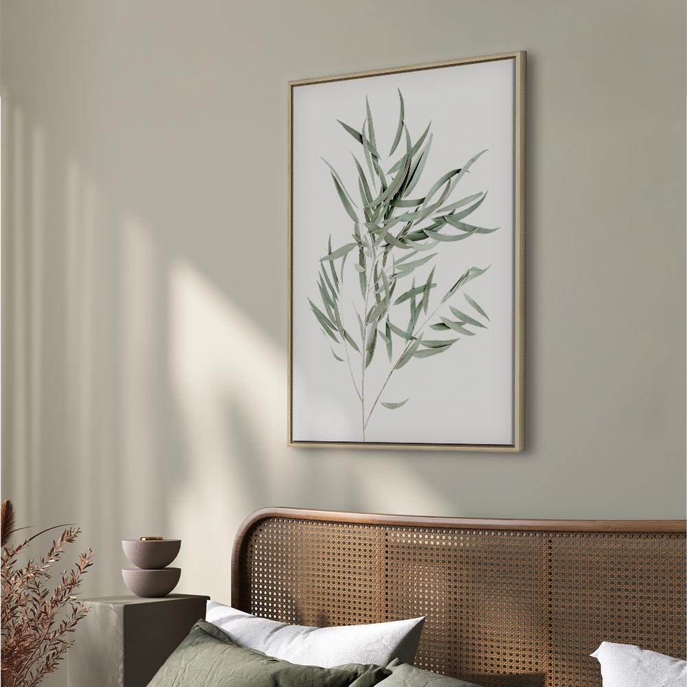 Nicholia Eucalyptus Leaves Canvas Print