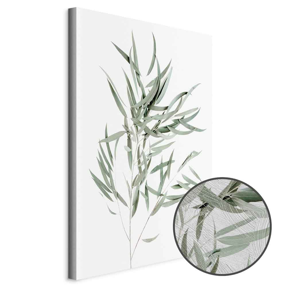 Nicholia Eucalyptus Leaves Canvas Print