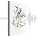 Nicholia Eucalyptus Leaves Canvas Print