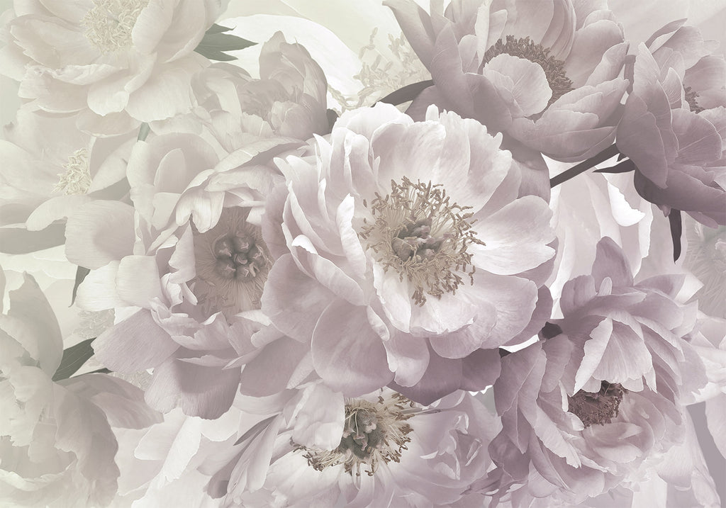 Wall Mural Flowery Thought Floral Wall Art