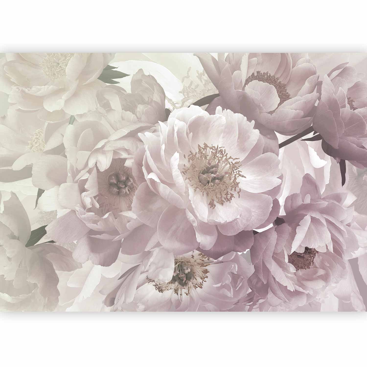 Wall Mural Flowery Thought Floral Wall Art