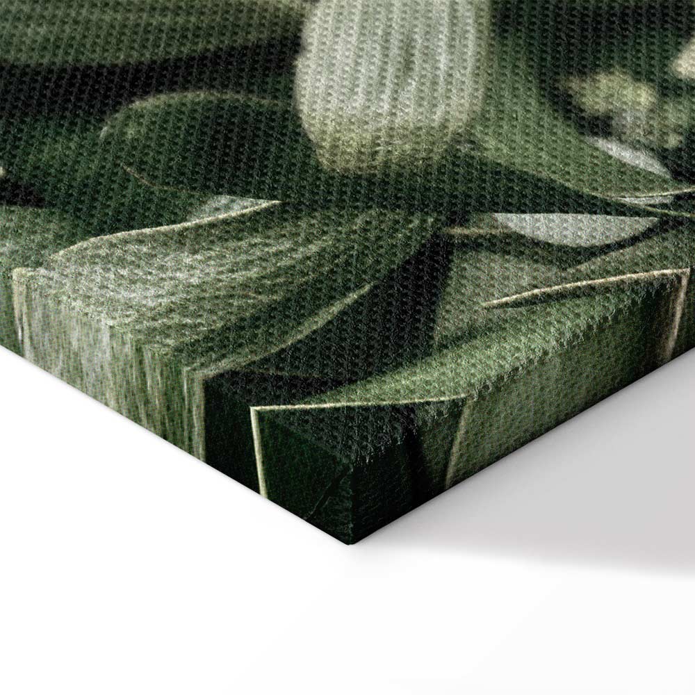 Christmas Mistletoe Botanical Canvas Print