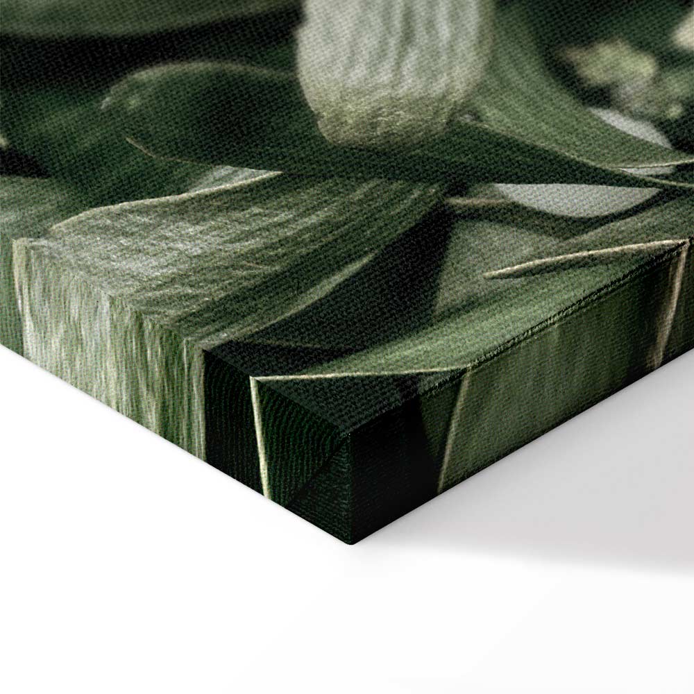 Christmas Mistletoe Botanical Canvas Print