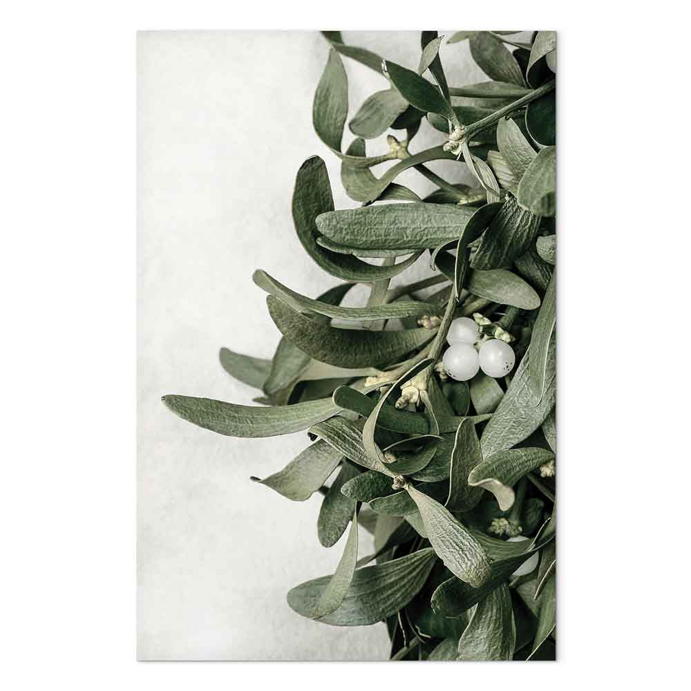 Christmas Mistletoe Botanical Canvas Print