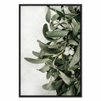 Christmas Mistletoe Botanical Canvas Print