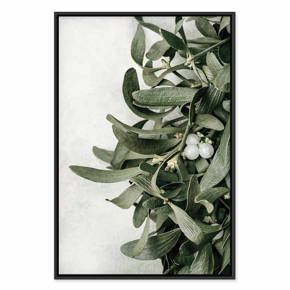 Christmas Mistletoe Botanical Canvas Print