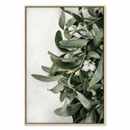 Christmas Mistletoe Botanical Canvas Print