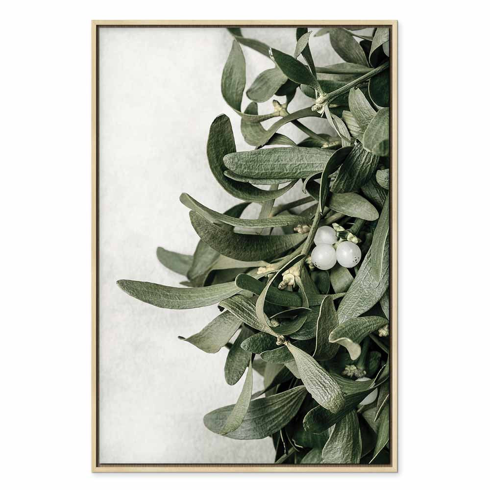 Christmas Mistletoe Botanical Canvas Print
