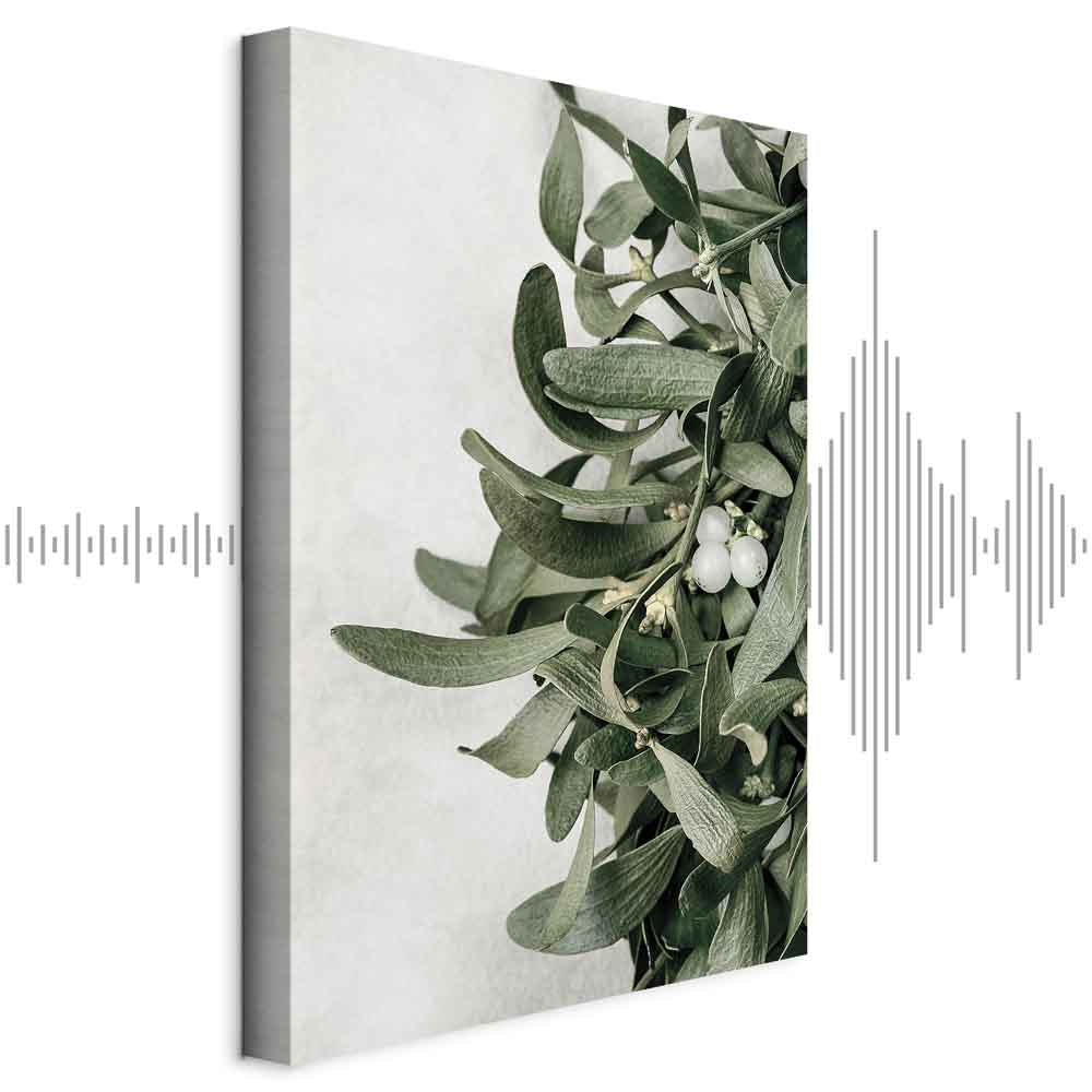 Christmas Mistletoe Botanical Canvas Print