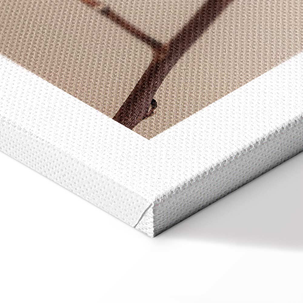 Cotton Flower Botanical Vertical Canvas Print