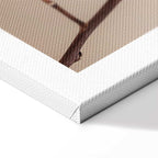 Cotton Flower Botanical Vertical Canvas Print