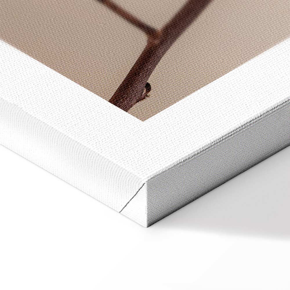 Cotton Flower Botanical Vertical Canvas Print