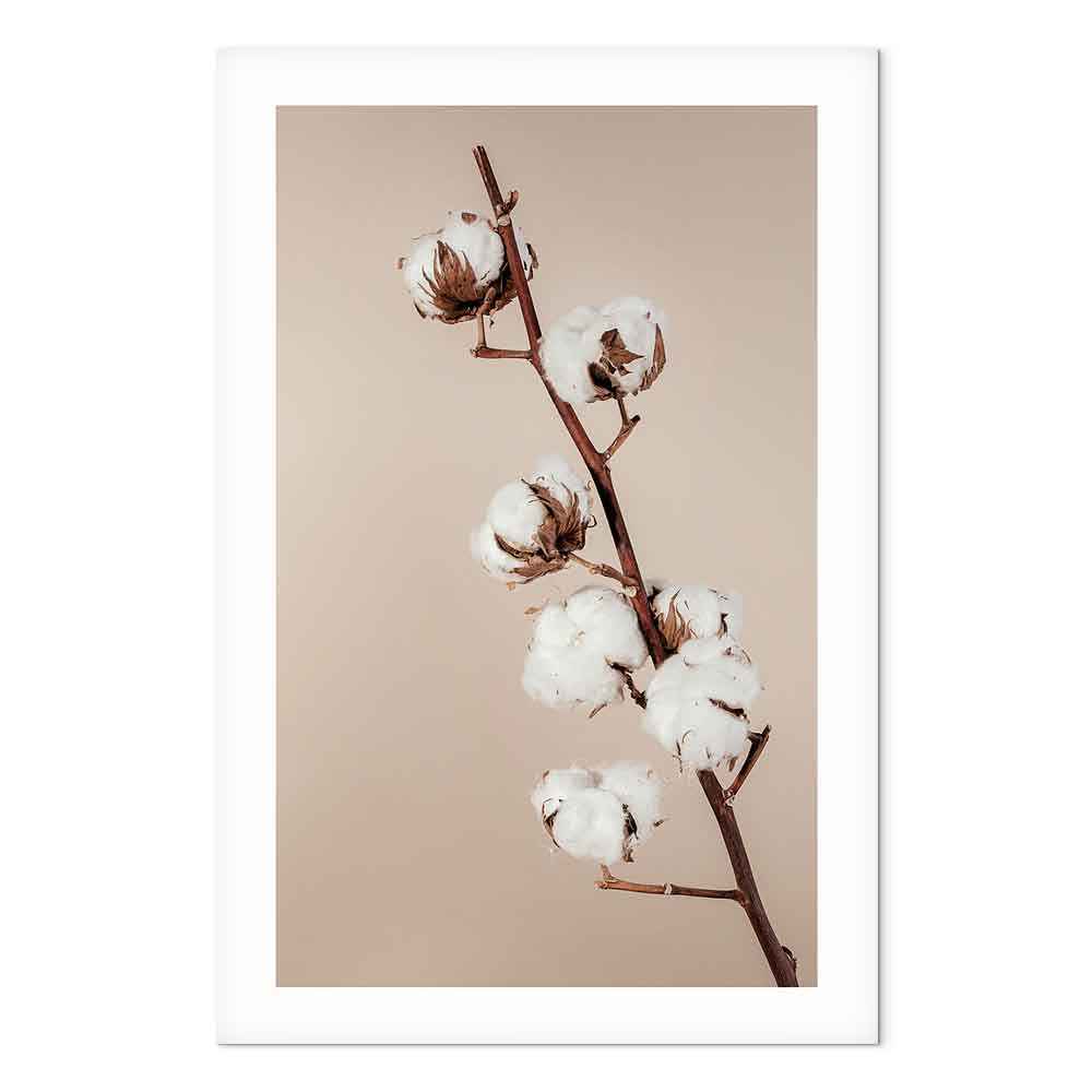 Cotton Flower Botanical Vertical Canvas Print