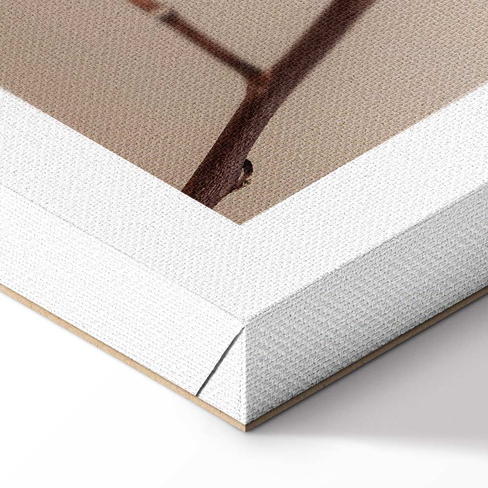 Cotton Flower Botanical Vertical Canvas Print