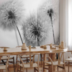 Dandelion Floral Nature Wall Mural