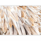 Wall Mural Close-Up of Bird Wings Beige Feathers