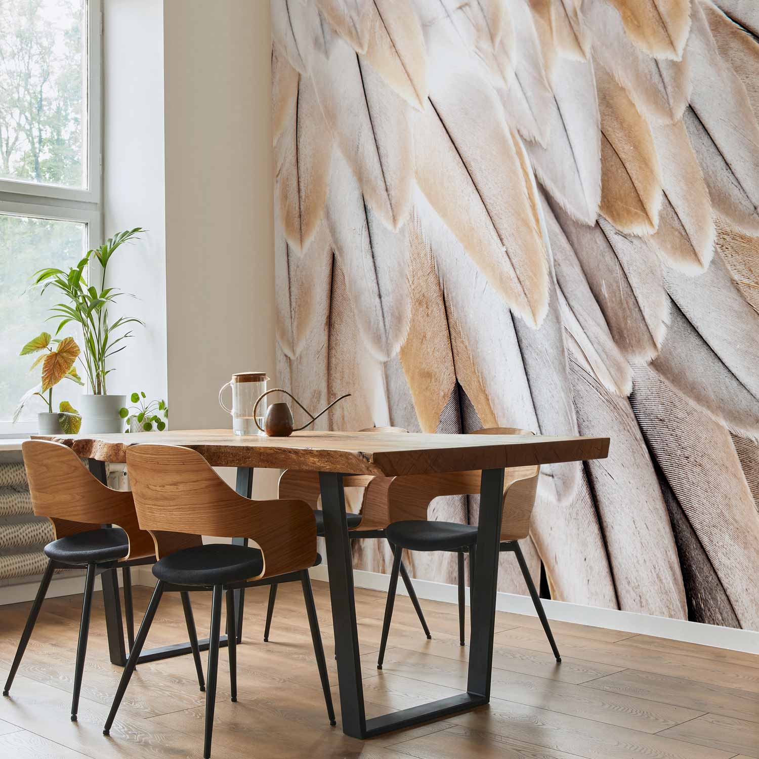 Beige Bird Feather Wings Close-Up Wall Mural