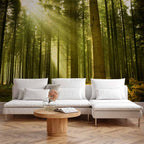 Pine Forest Morning Sunlight Wall Mural
